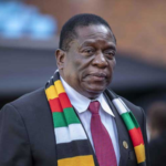 ZANU PF IS NOW PUSHING A CONSTITUTIONAL COUP IN ZIMBABWE